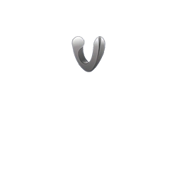 venetolink